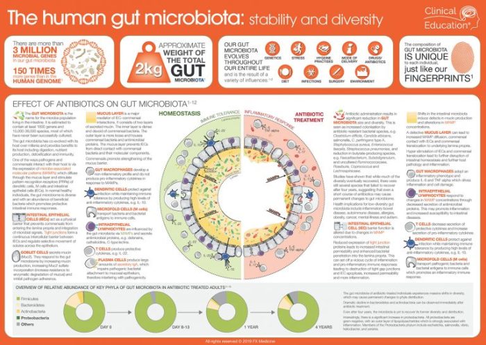Microbiome draxe healthcare genes test