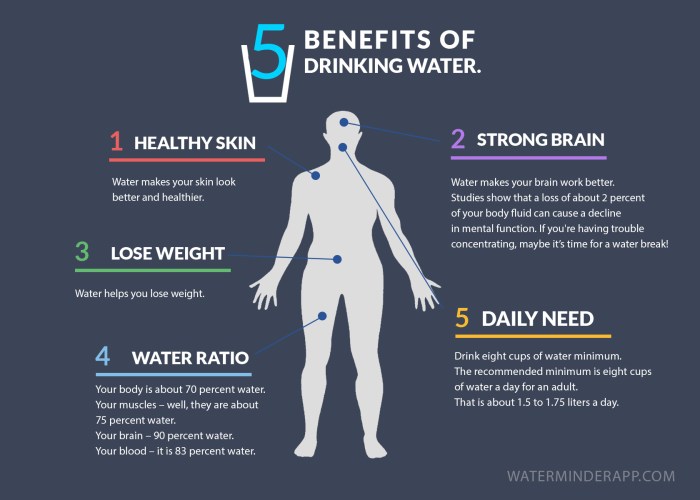 Drinking water benefits infographic hydration body weight loss email google twitter