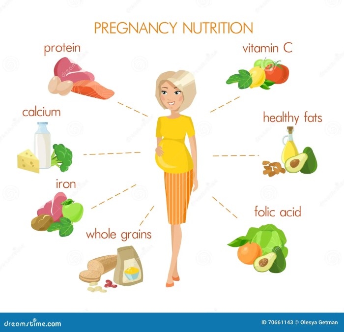 Nutrition pregnancy infographic pregnant vitamins healthy food woman detailed minerals vector stock mother preview