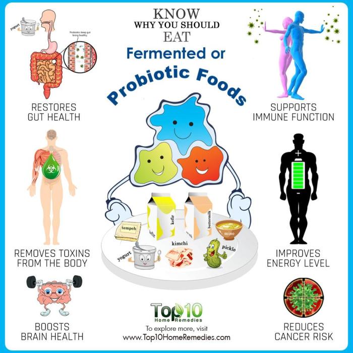 Fermented foods eat probiotic should why reasons probiotics taste also shelf extends fermenting body life mind healthy they great