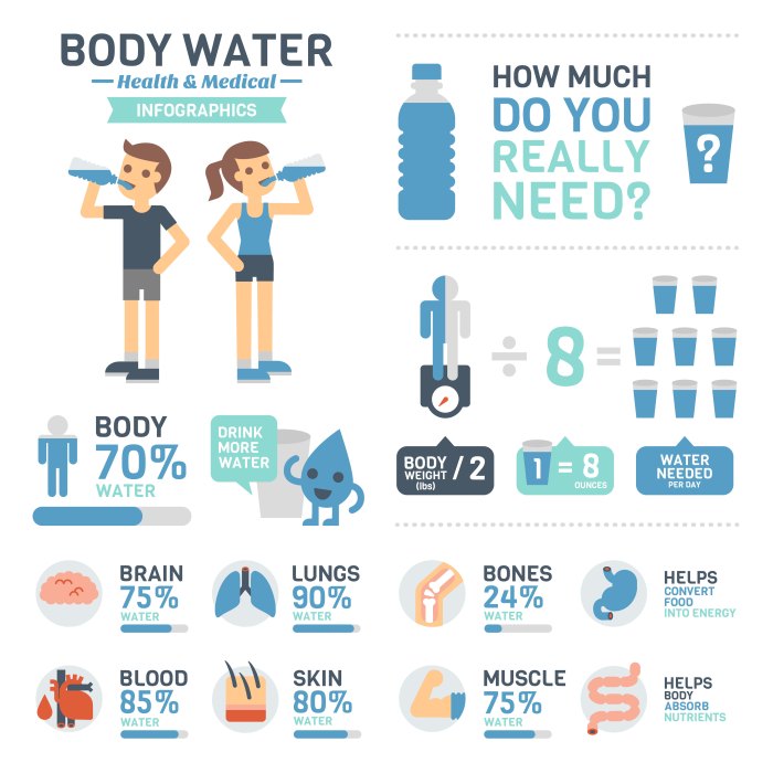Benefits intake hydration drink importance tubuh manusia hydrated blut abnehmen infographics grafiken proper diet glasses